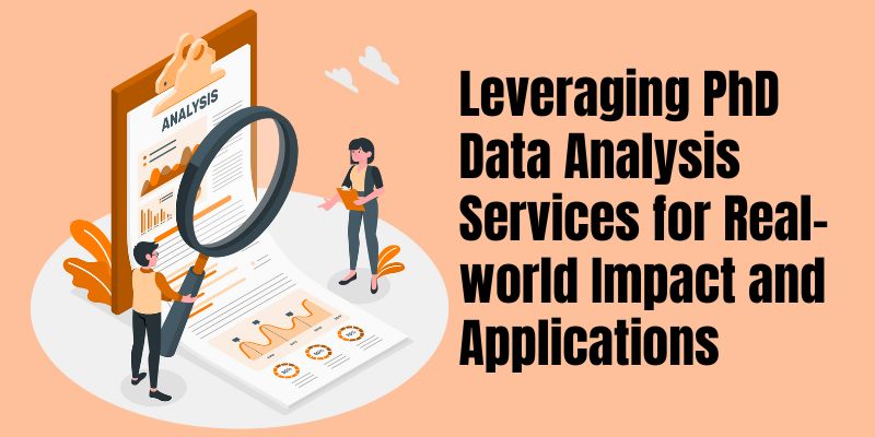 Leveraging PhD Data Analysis Services for Real-world Impact and Applications